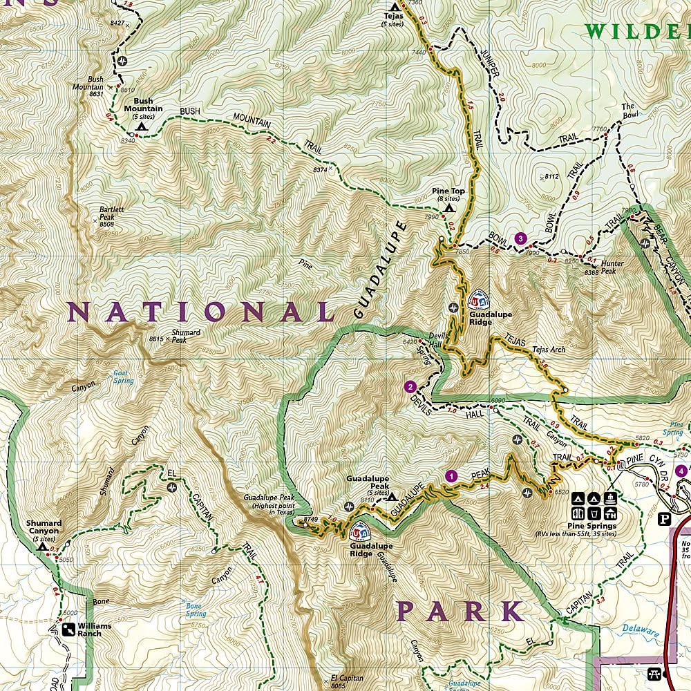 Guadalupe Mountains National Park Map (National Geographic Trails Illustrated Map, 203) - Image 2