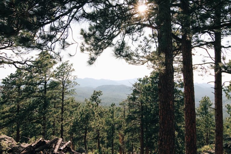 Unleashing the Explorer Within: A Guide to Outdoor Travel Adventures
